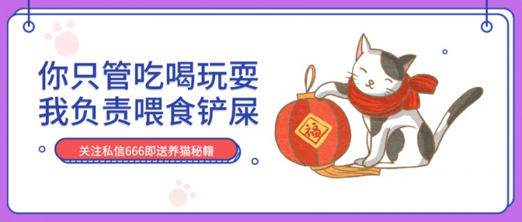 最爱叫的猫咪盘点，谁是你心中的“唐僧猫”？